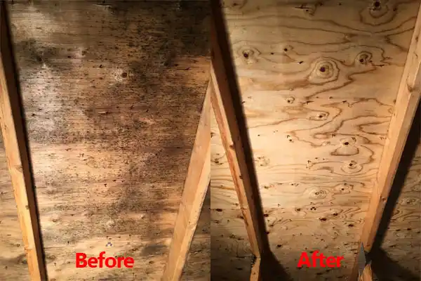 water damage restoration service Goodrich